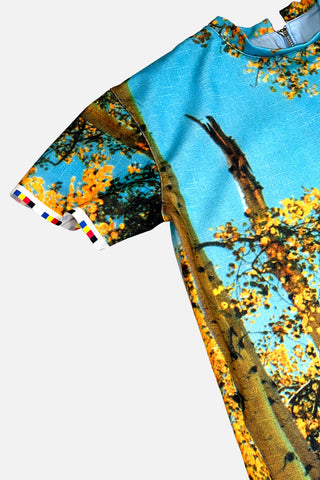 Vintage T.O. Fabric Dress