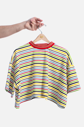 Candy Colored Surfer Stripe Crop Top