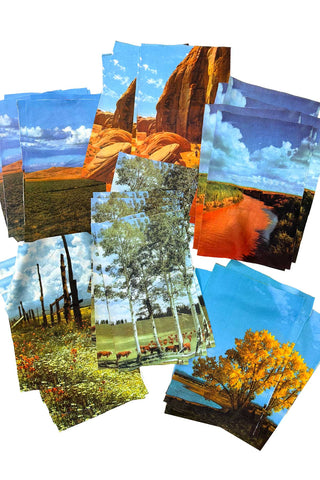 36 Piece Arizona Highways Printed Panel Set