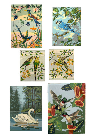 Bird Paint-by-Number Paintings