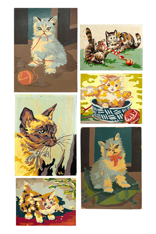 Cat Paint-by-Number Paintings