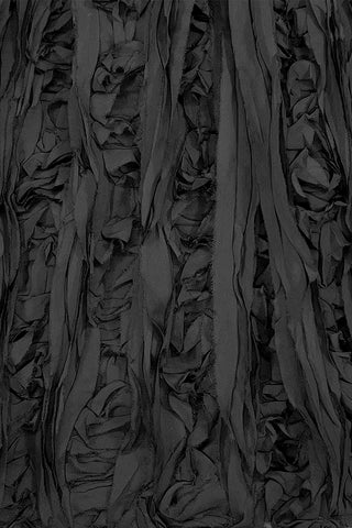 Raven Ribbon Chiffon Skirt