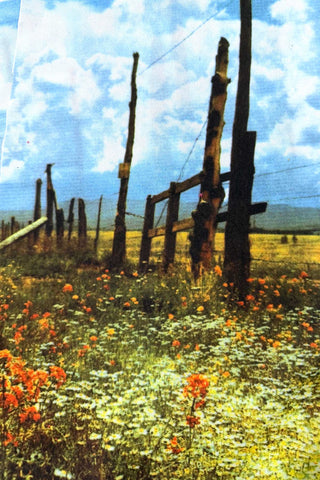 36 Piece Arizona Highways Printed Panel Set