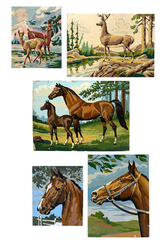 Field & Stream Paint-by-Number Paintings