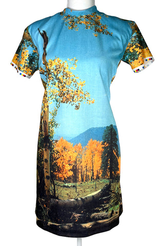 Todd Oldham Vintage Collection Dress 1994 "Arizona Highway" Print
