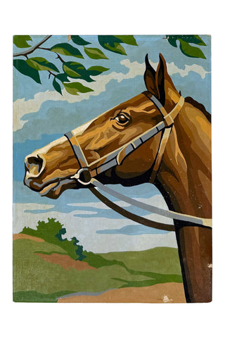 Field & Stream Paint-by-Number Paintings