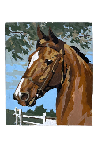 Field & Stream Paint-by-Number Paintings