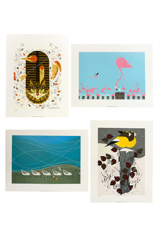 Charley Harper's Animal Kingdom: A Portfolio of Prints