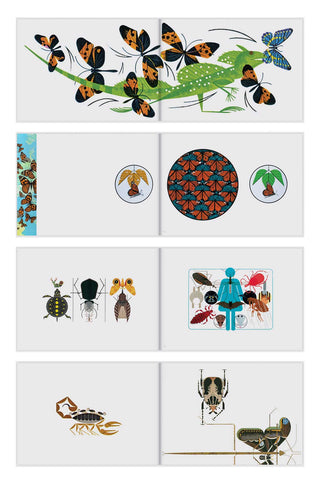 Out of Print, Charley Harper Animal Kingdom Signed, Medium Version